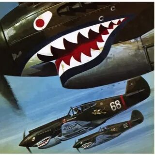 Are these planes