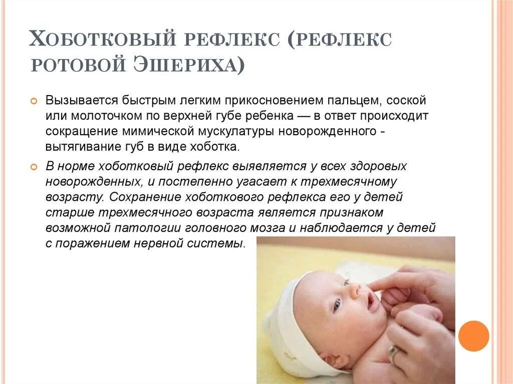 Врожденные рефлексы новорожденных. Поисковый и хоботковый рефлекс у новорожденного. Хоботковый рефлекс у новорожденных. Поисково сосательный рефлекс новорожденного. Сосательный рефлекс, хоботковый рефлекс.