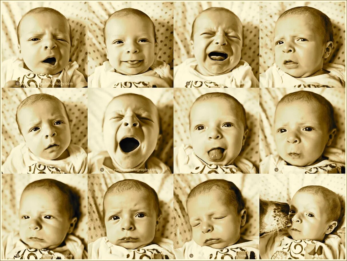 Как видит ребенок 4. Эмоции для детей. Разные эмоции детей. Мимика младенца. Младенчество эмоции.