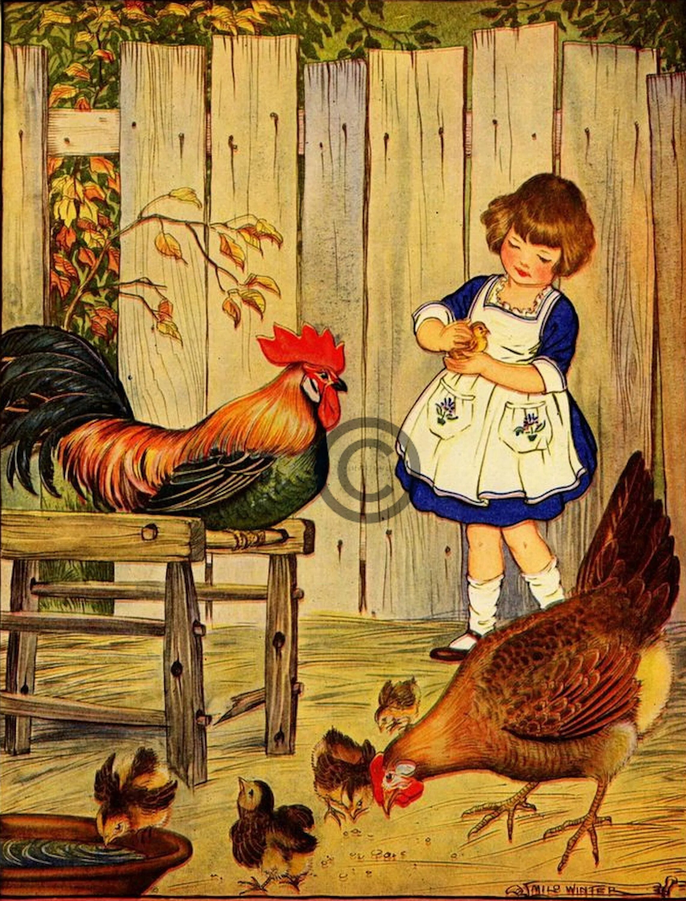 Рисунки с курами. Картина дети кормят курицу и цыплят. Сюжетная картина куры. Сюжетные картинки для декупажа. Девочка и куры.