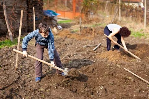 Digging into