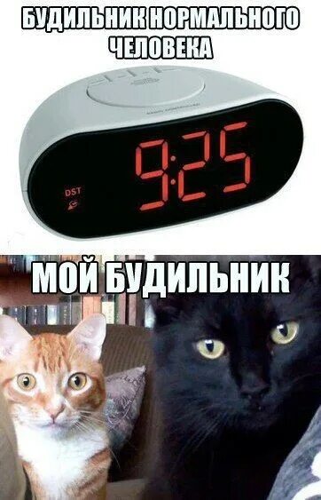 Мои часы. Определение времени по часам 1 класс карточки. Мемы про время. Группа dabro. Поставь на моих часах.