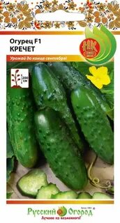 Сорт огурцов русский