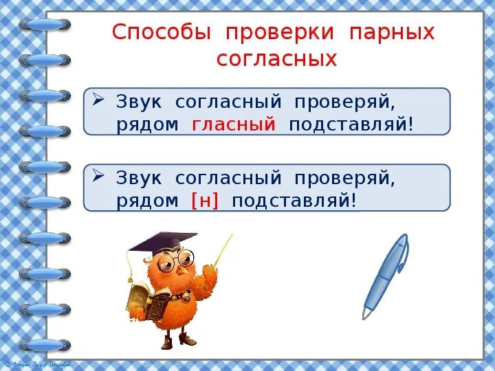 Слова на правила парные согласные. Правописание слов с парными по глухости-звонкости согласными. Правописание слов с парными по глухости звонкости согласными в корне. Написание слов с парными согласными на конце слова. Проверка парных согласных на конце.