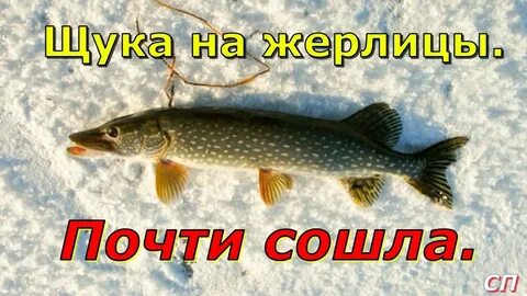 Пойдем почти