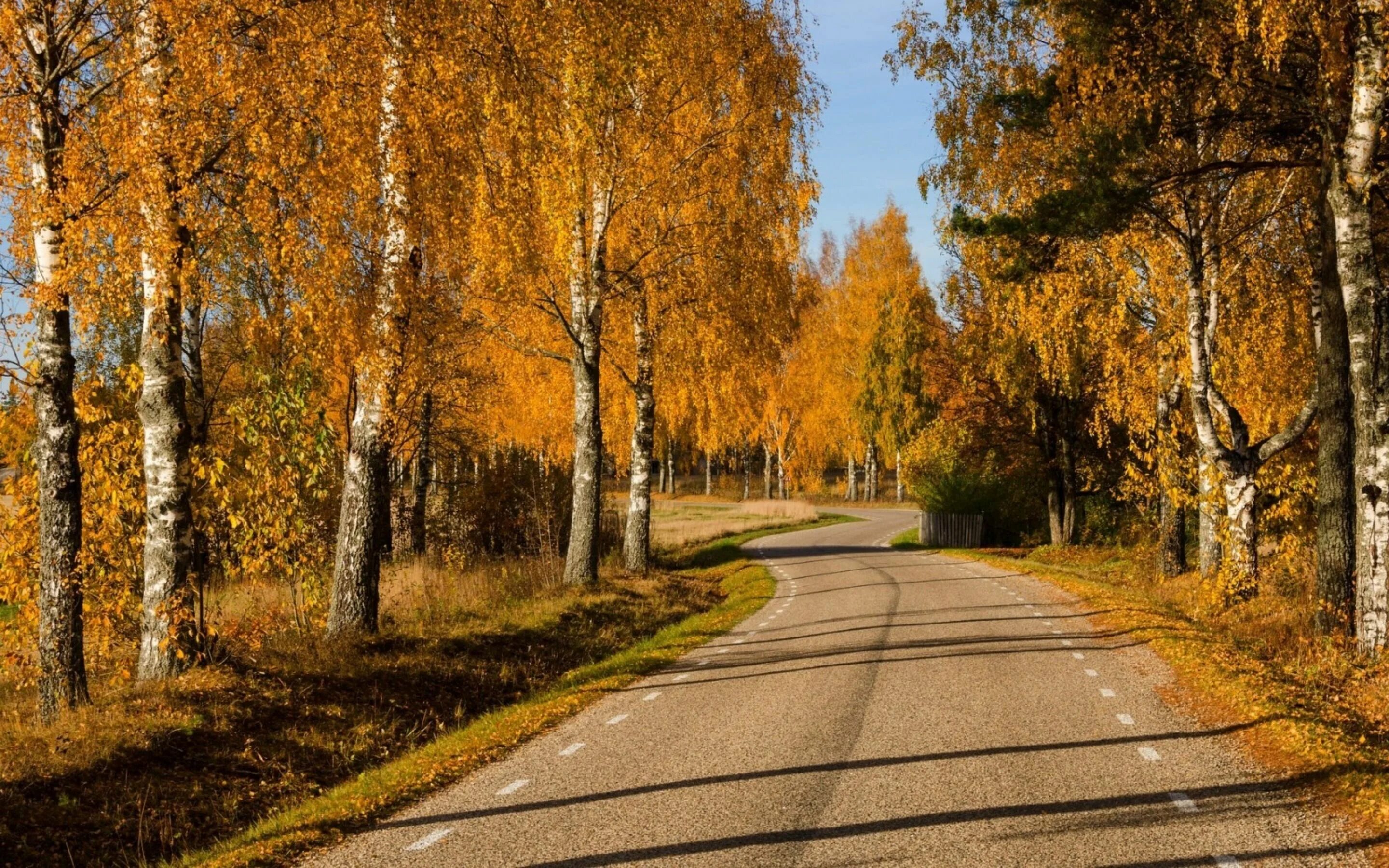 Св осень. Природа осень. Ранняя осень. Ранняя осень в городе. Осень в деревне.