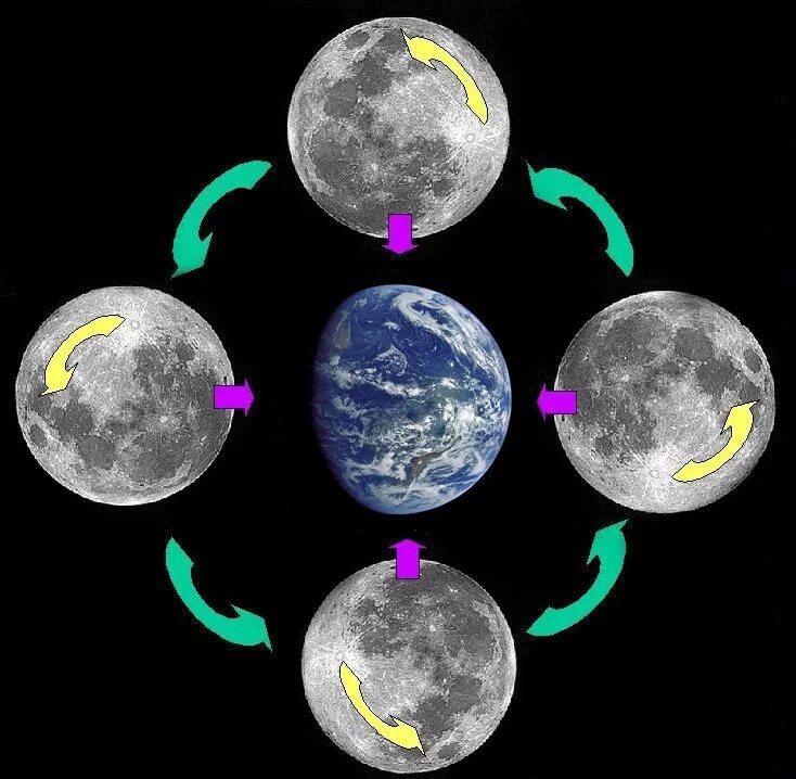 Почему повернули луну. Схема вращения Луны вокруг земли. Схема вращения Луны вокруг своей оси и вокруг земли. Вращение Луны. Луна крутится вокруг своей оси.