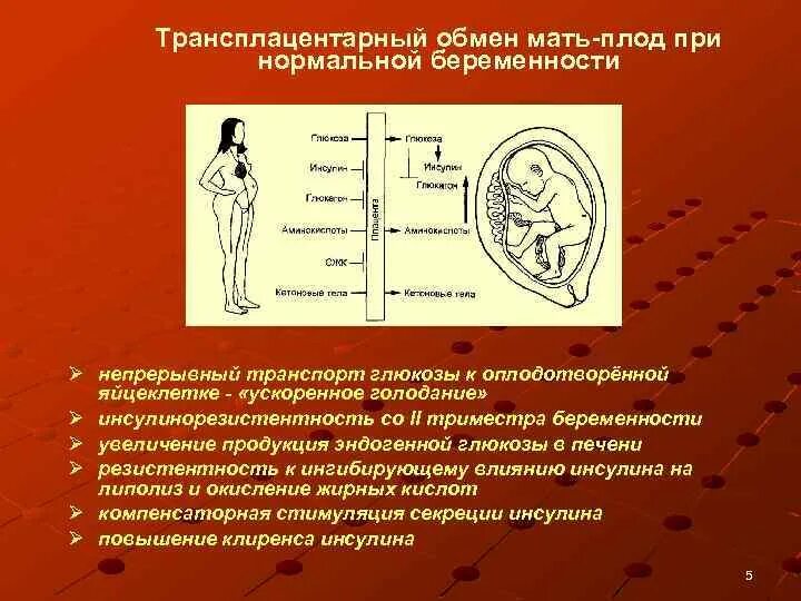 Эндокринопатия что это у взрослых. Эндокринопатия что это у взрослых