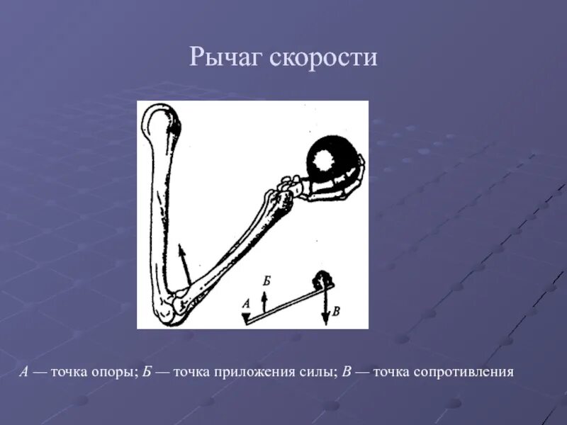 Рычаг скорости. Рычаг силы и рычаг скорости. Рычаг скорости анатомия. Рычажная система. Скорость рычага машина