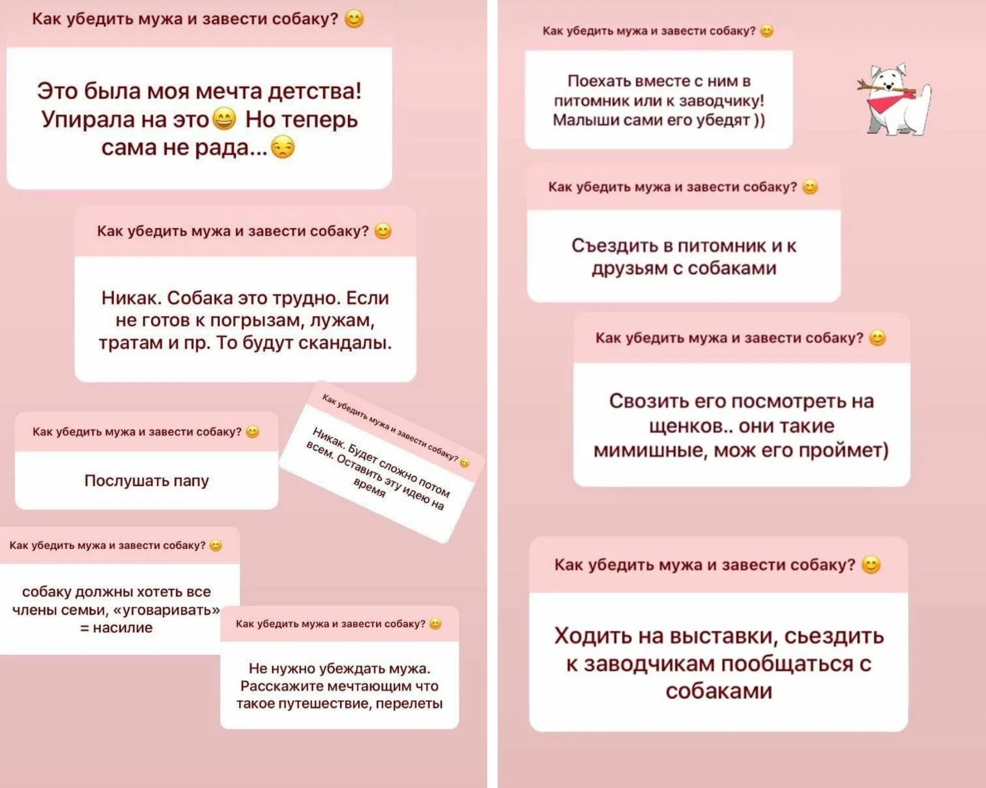 Как уговорить маму на собаку. Как завести мужа по смс. Как уговорить родителей завести кота. Как уговорить маму завести собаку. Как уговорить мужа завести собаку.