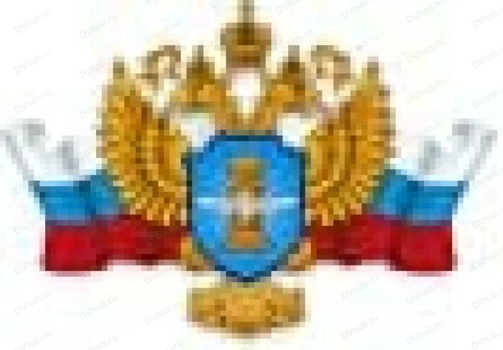 Федеральная служба по надзору в сфере транспорта. Межрегиональное управление по надзору в сфере транспорта. Территориальный орган автодорожного надзора воронеж. Федеральная служба по надзору в сфере транспорта лого. Межрегиональное управление по надзору в сфере транспорта.
