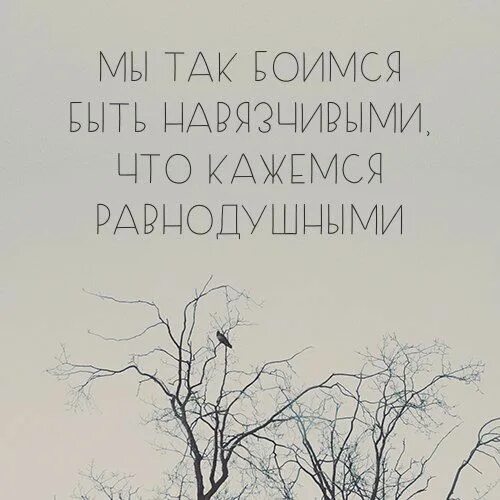 Мы так боимся быть навязчивыми что кажемся. Боимся быть навязчивыми что кажемся равнодушными. мы так боимся быть навязчивыми. мы так боимся быть навязчивыми что кажемся равнодушными. картинка мы боимся быть навязчивыми что кажемся равнодушными.