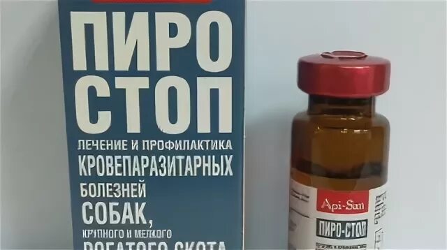 Пиростоп пироплазмоз. Пиростоп 10 мл. Пиростоп для собак 50мл. Пиро стоп 10мл инструкция.