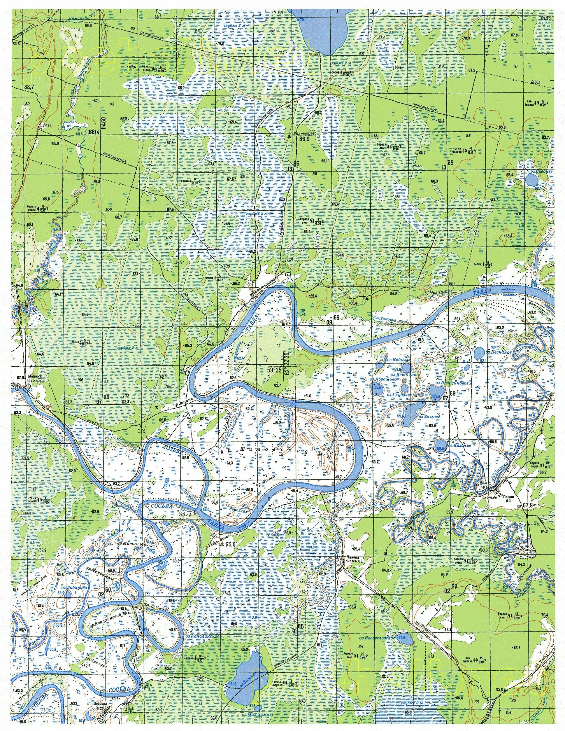 Топографическая карта северного урала. Река пелым свердловская область карта. Топографическая карта 1 50000 учебная. Карты генштаба пермский край 1951. Карты генштаба воронежской области 1 50000.