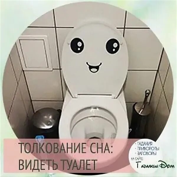 Приснился унитаз прикол. Толкование снов унитаз. Приснился грязный унитаз к чему ?. Толкование снов унитаз. Унитаз во сне для женщины.