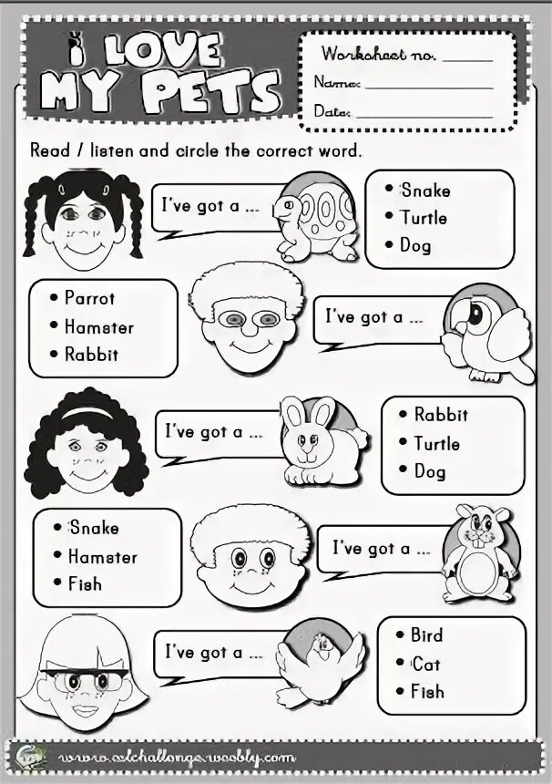 Have has two pets. Pets Worksheets for Kids. Pets задания на английском. Задание по теме my Pet. English Worksheets Pets.