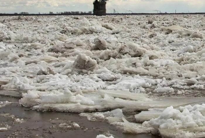 Ледоход в Нижневартовске. Ледоход Сургут Обь. Ледоход Нижневартовск 2023. Ледоход в Саратове 2024.