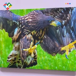 Орел курганская область