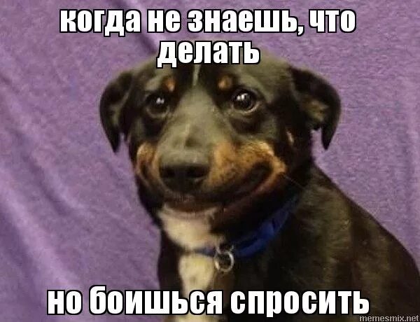 Чудовище снятое на камеру. Мне было страшно но я это сделал. Страшные монстры в реальной жизни. Мне было страшно но я это сделал. Мне было страшно но я это сделал.