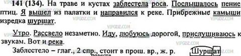 Русский язык 5 класс 141