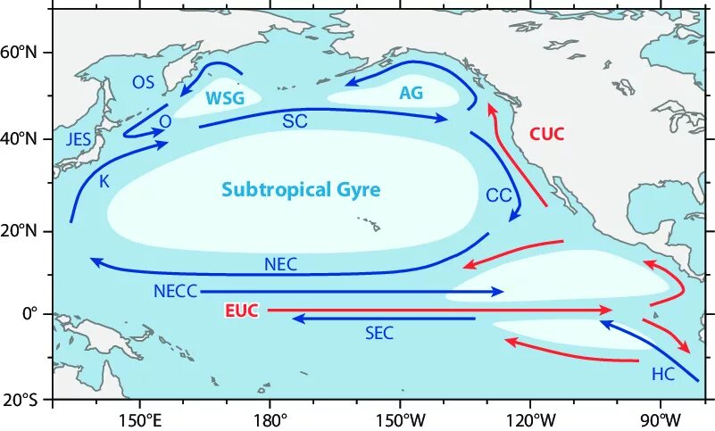 Морские течения действующие в тихом океане. Морские течения. Северо Тихоокеанское течение на карте. Тихоокеанское течение.