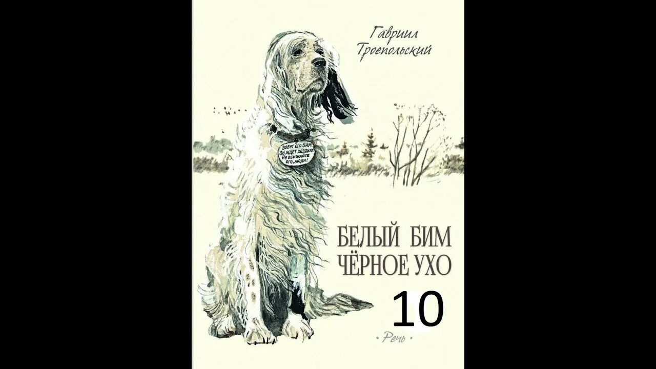 Произведение бим черное ухо. Троепольский белый Бим черное ухо книга. Белый Бим черное ухо иллюстрации. Троепольский белый Бим черное ухо иллюстрации.