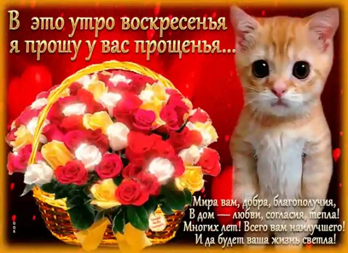 Прошу прощения форум. Прошу прощения в прощенное воскресенье. прощенное воскресенье поздравления. с прощенным воскресеньем. открытки с прощенным воскресеньем 2025.