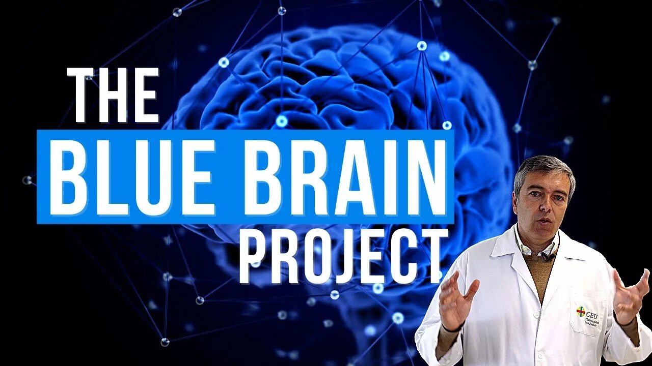 Brain project. Blue Brain Project. Blue Brain. Brain Project XL.