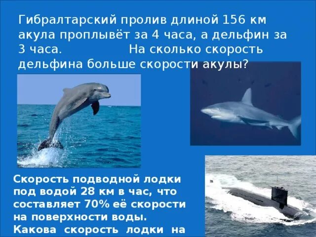 Скорость дельфина в воде