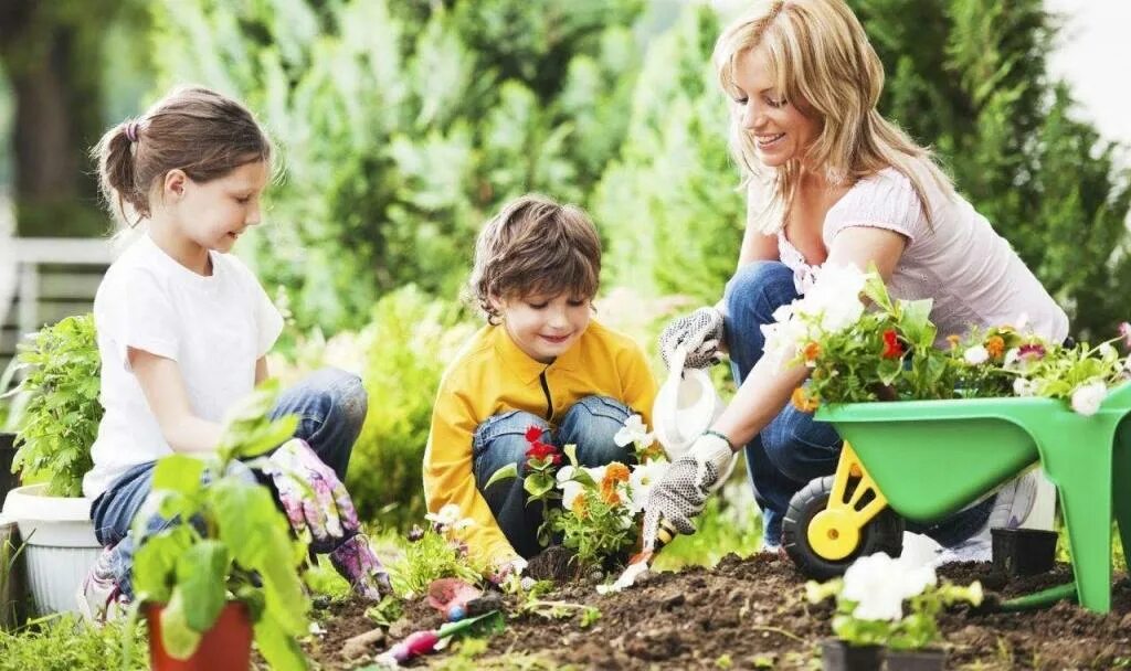 Дети помогают родителям. Дети и природа. Любовь к детям в саду. Любовь детей к природе. Дети вырастили цветы