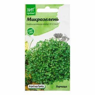 Семена микрозелени горчицы