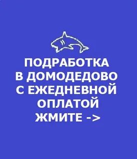 Работа домодедовская область
