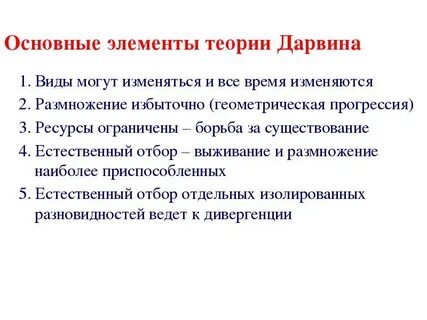 Теории эволюции биология 11 класс
