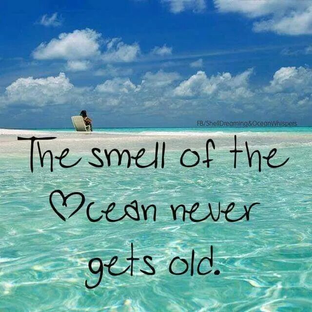 You can the beach from my house. Beach quotes. summer vibes цитаты. бичи лайк. цитаты про океан на английском.