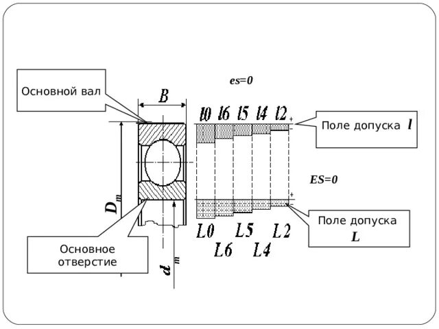 Основной вал и основное отверстие. Поле допуска основного вала. Поле допуска основного отверстия. Поле допуска l.