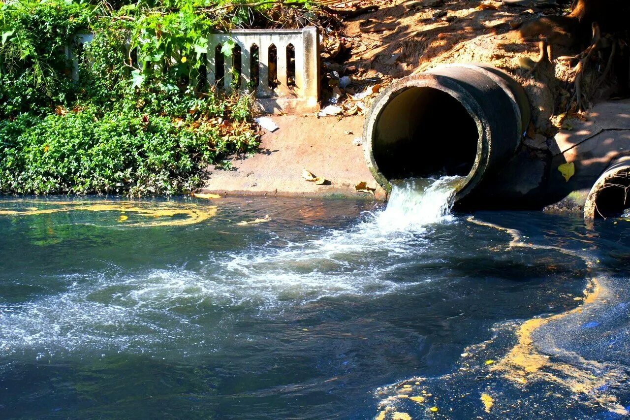 Сточные воды. Канализация и сточные воды. Загрязнение водоемов. Промышленные сточные воды. Токсичность сточных вод