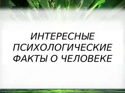 Интересные факты о внимании