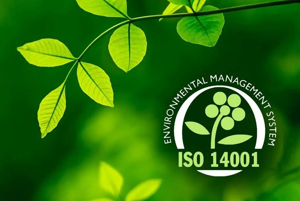 Исо 14001 документация. Стандарт ISO 14001. Экомаркировка ISO 14001. Система экологического менеджмента ISO 14001. Международный стандарт ISO 14001.