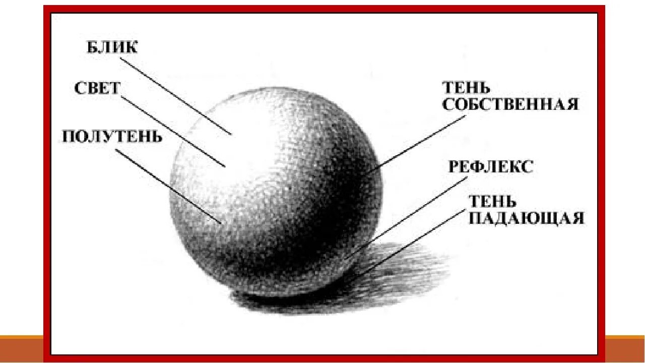 Шар тень полутень блик рефлекс. Свет тень полутень рефлекс блик в рисунке. Тени светотени полутени. Светотеневая моделировка рисунок. Ветров свет и тени