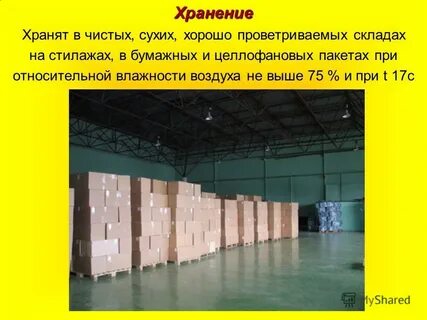 Чистая сухая