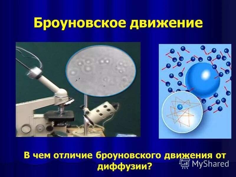 Броуновское движение 2010. Броуновское движение 2010