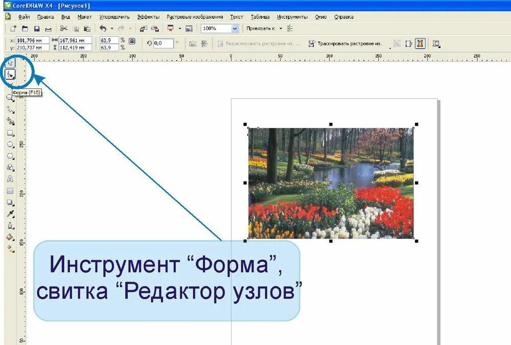 Скруглить углы изображения. Rfr закруглить картинку. как скруглить углы у фотографии. как закруглить края картинки. powerpoint скруглить углы.