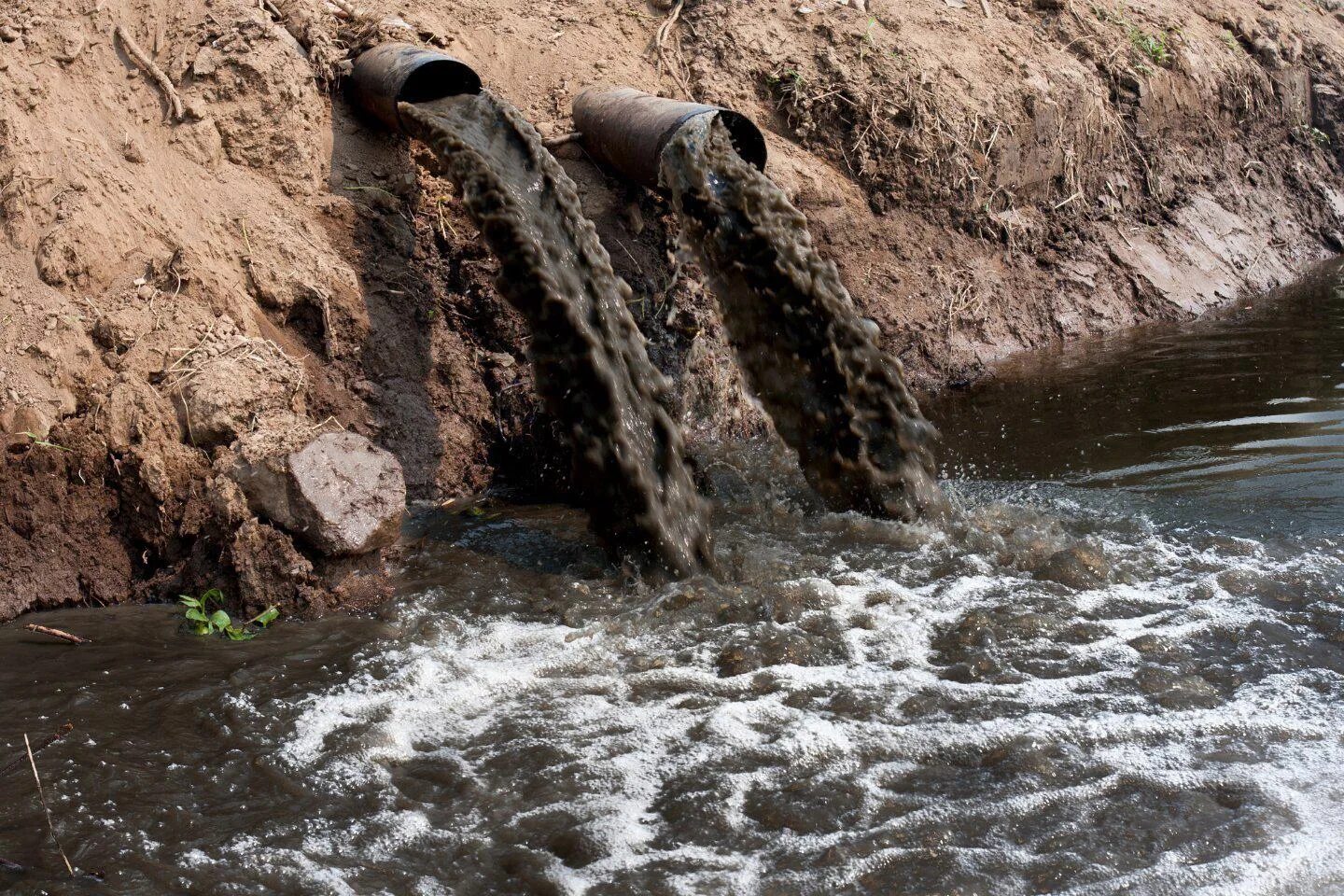 Новости про воду. Загрязнённые реки Калининграда. Загрязнение воды. Сточные воды. Канализационные стоки.