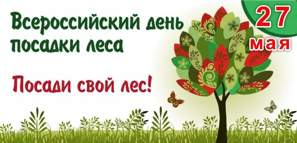 День посадки леса. Всероссийский день леса. Международный день леса. Всемирный день посадки леса. Всемирный день леса.