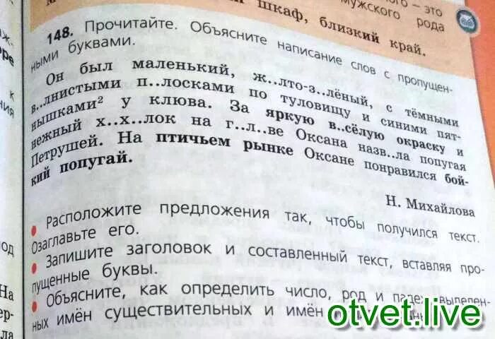 На птичьем рынке Оксане понравился бойкий попугай. На птичьем рынке Оксане понравился бойкий. Н Михайлова на птичьем рынке. Бойкий попугай какой падеж.