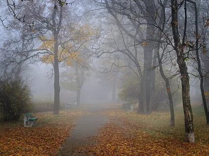 Осенняя погода картинки