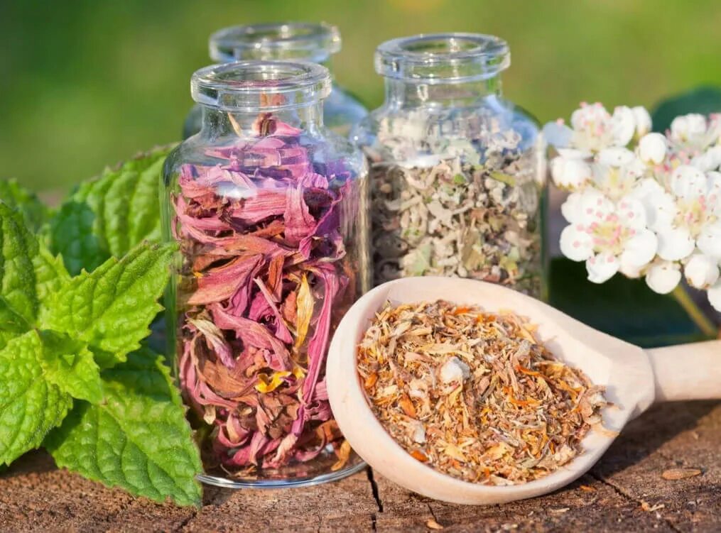 Корень имбиря. Витаминный чай из трав. Настои и отвары. Настоит из лекарственных растений. Лекарственные растения.