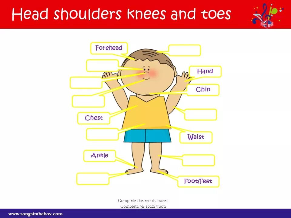 Super simple songs head. Head Shoulders Knees and Toes. Песенка head Shoulders Knees and Toes. Head Shoulders Knees and Toes задания. Зарядка head Shoulders Knees and Toes.