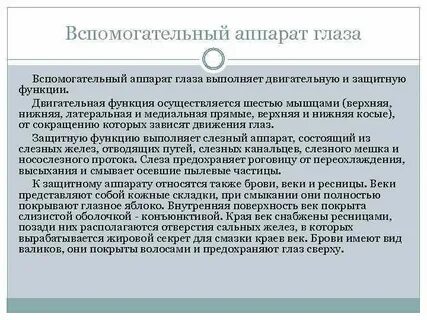 К вспомогательному аппарату глаза относятся