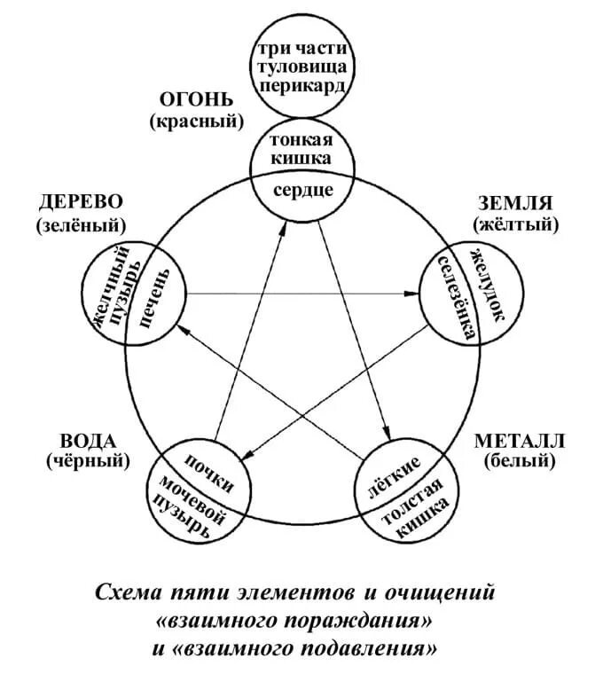 Круг 5 элементов. Схема китайских стихий. Китайская схема взаимодействия стихий. 5 Стихий Усин. Китайская пентаграмма пяти стихий Усин.